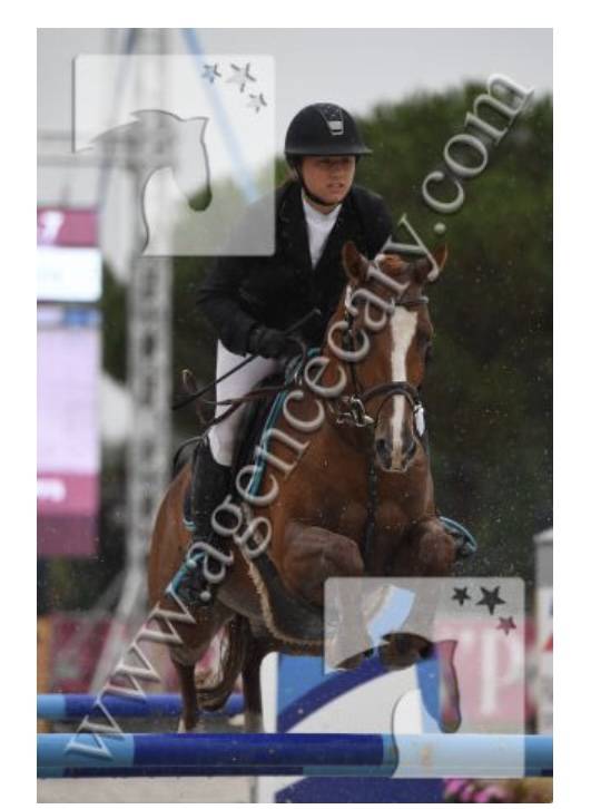 Castrone PFS Pony Francese da Sella In vendita 2011 Sauro ,  MEEPING CHA DE FLORYS