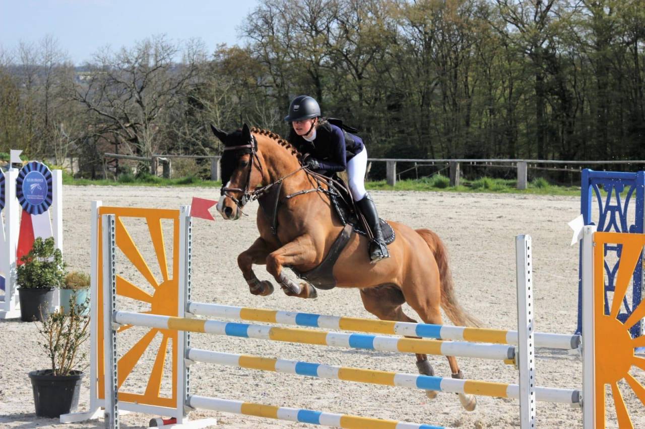 Castrone PFS Pony Francese da Sella In vendita 2011 Sauro ,  MEEPING CHA DE FLORYS