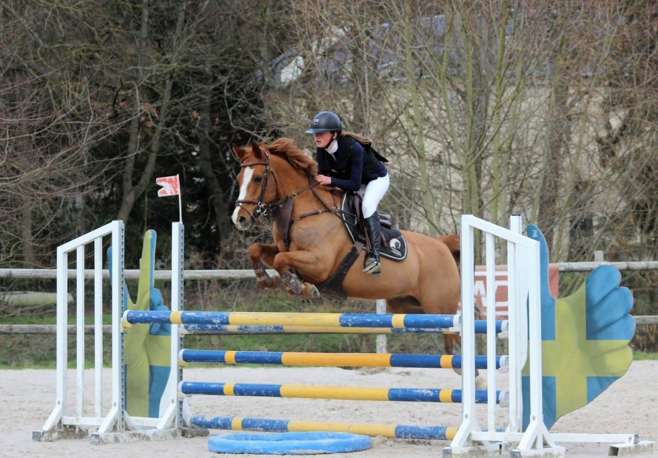 Castrone PFS Pony Francese da Sella In vendita 2011 Sauro ,  MEEPING CHA DE FLORYS