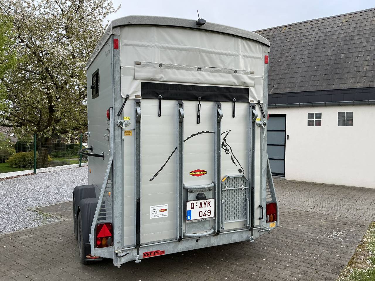 Trailer Bockmann PORTAX E 2 Cavalli 2021 Occasione