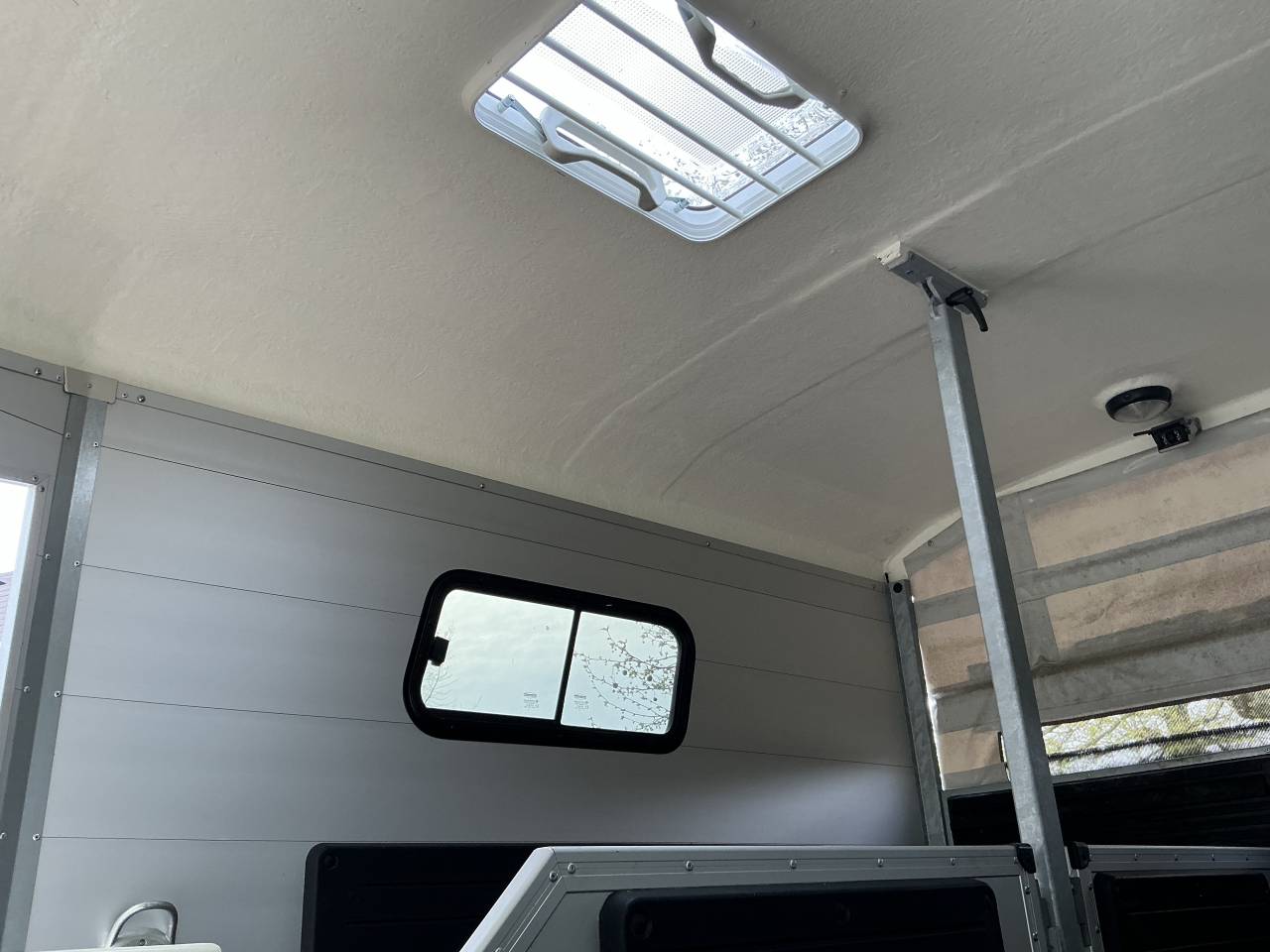Trailer Bockmann PORTAX E 2 Cavalli 2021 Occasione