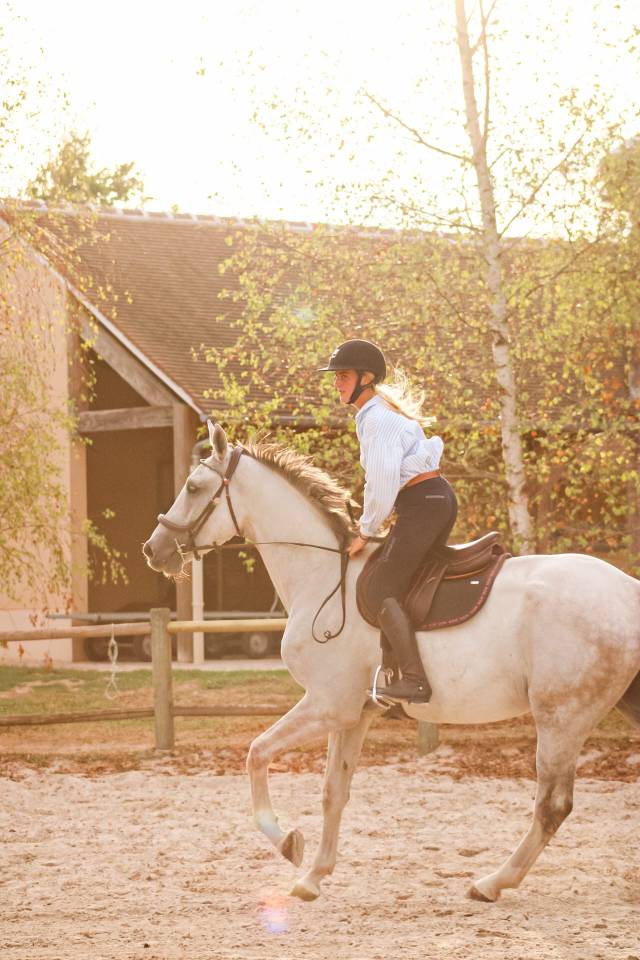 Castrone Cavallo da Sport Irlandese In vendita 2022 Grigio ,  Don vhp z