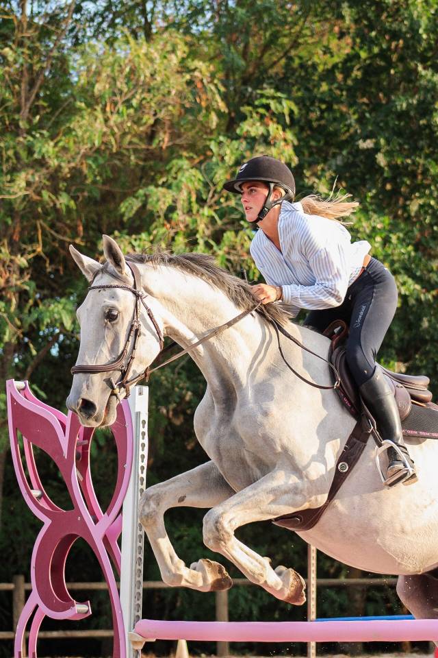 Castrone Cavallo da Sport Irlandese In vendita 2022 Grigio ,  Don vhp z