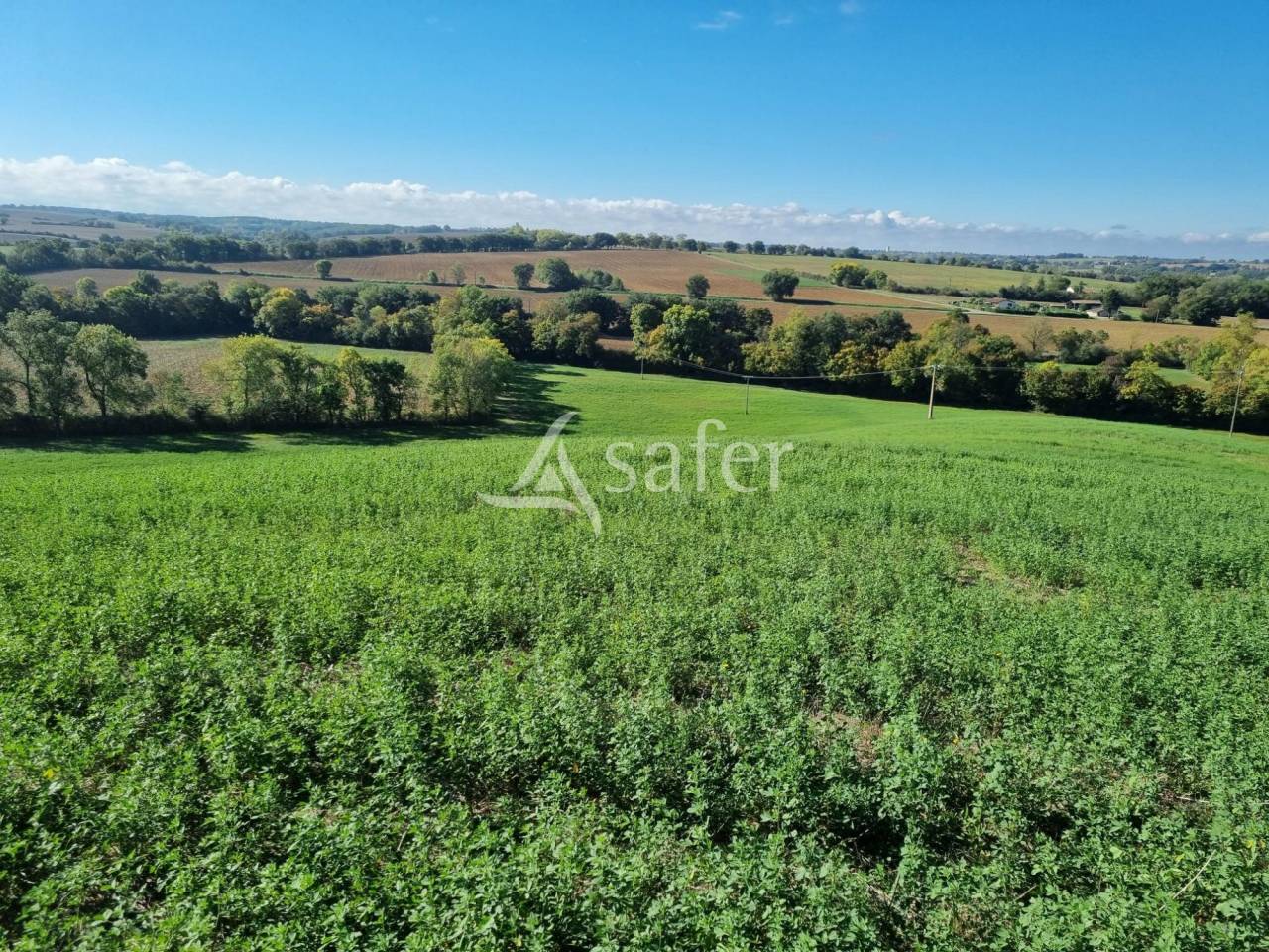 Azienda cerealicola In vendita Gers