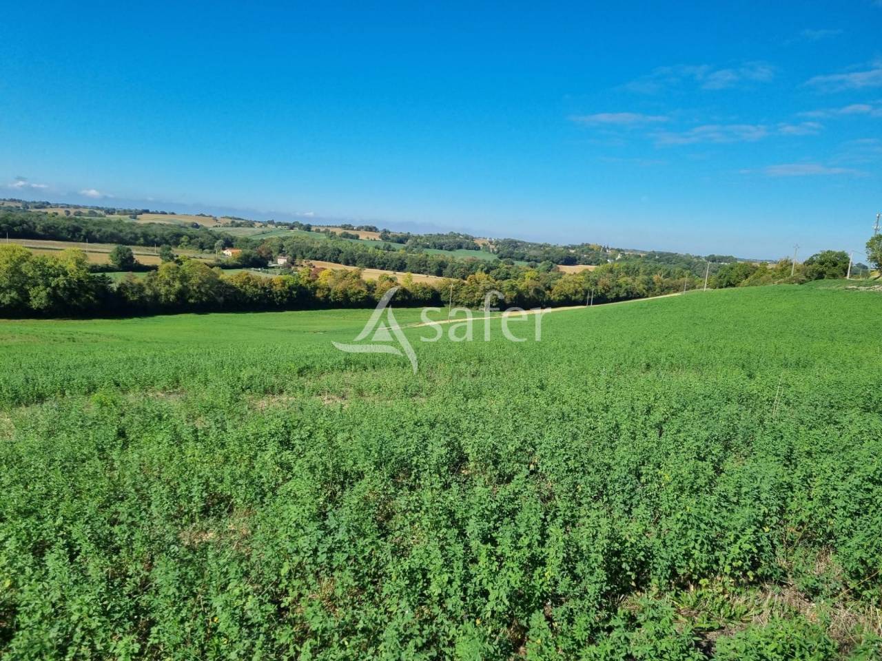 Azienda cerealicola In vendita Gers
