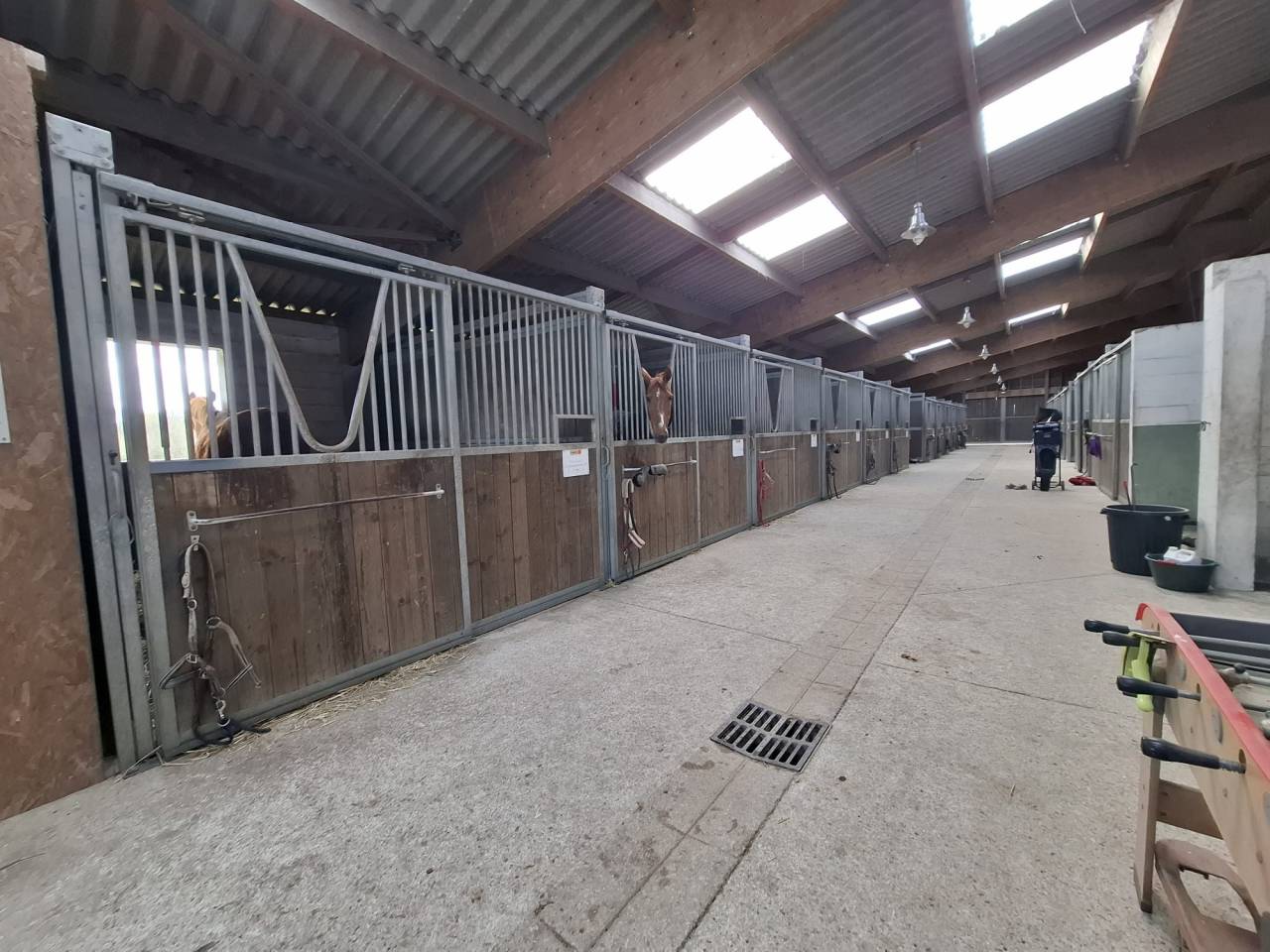 Propriet&agrave; equestre In vendita Loiret