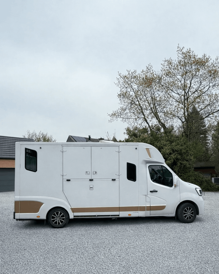 Van per Cavalli Theault THEAULT RENAULT MASTER 2021 Occasione