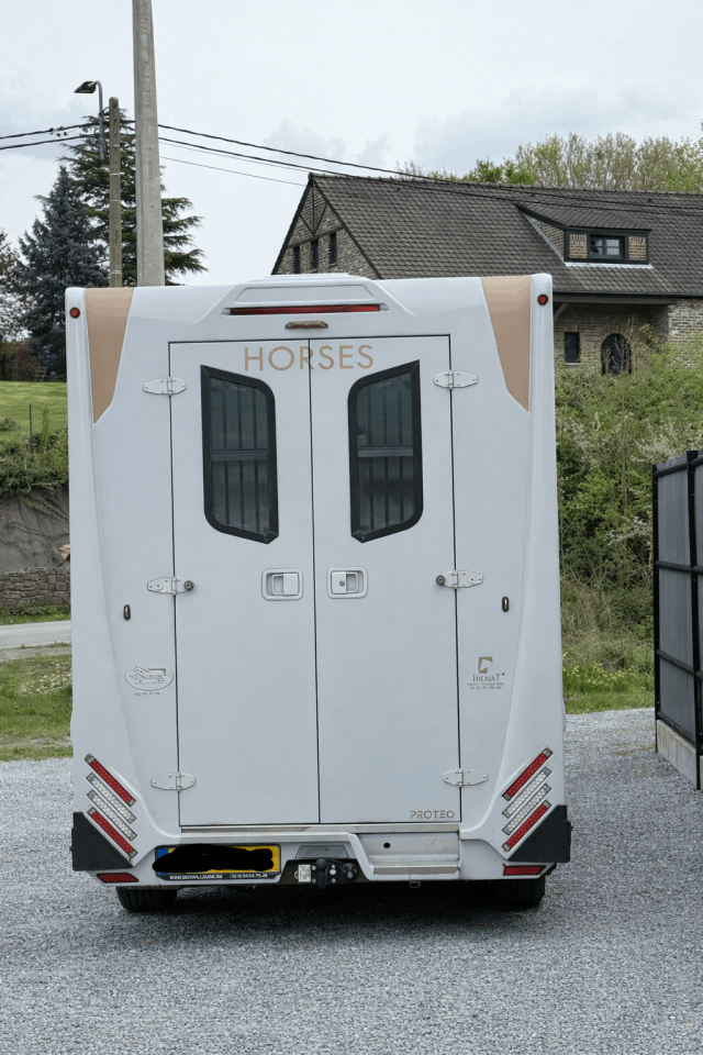 Van per Cavalli Theault THEAULT RENAULT MASTER 2021 Occasione