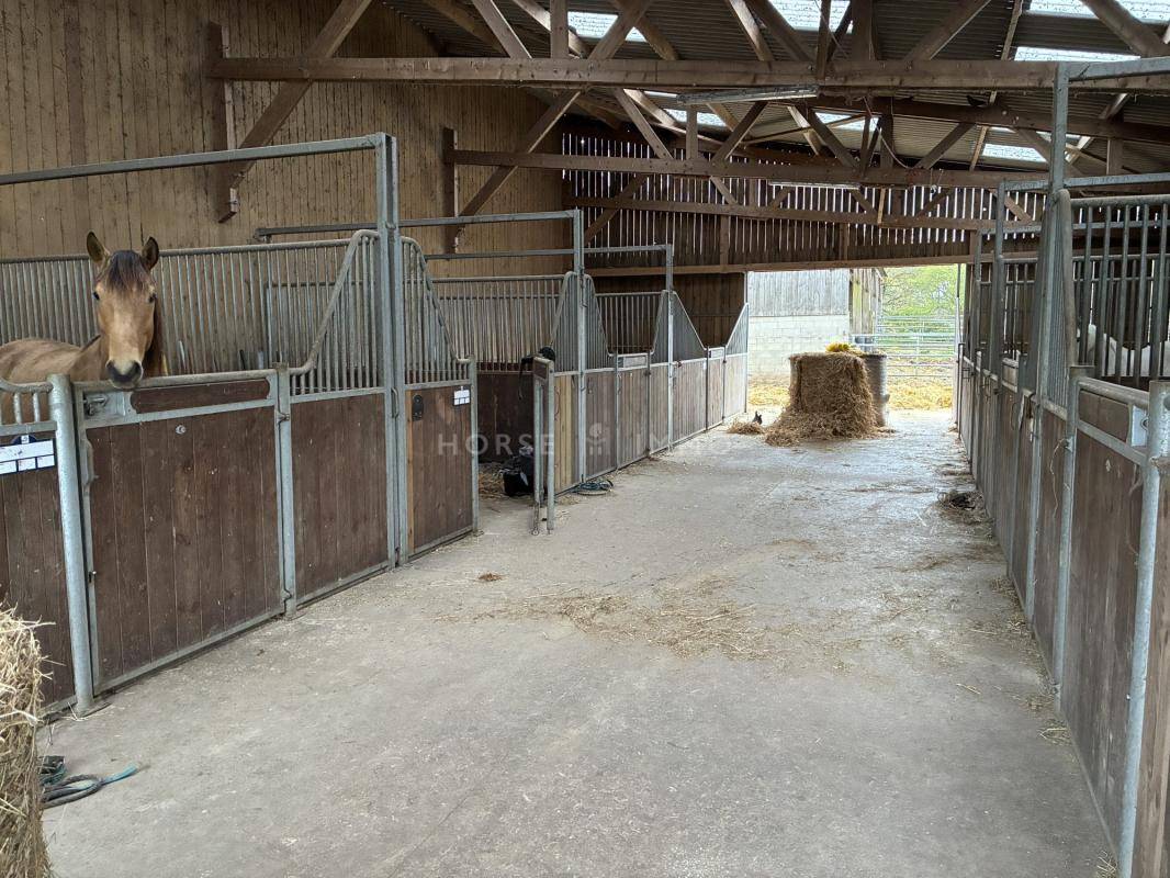 Centro ippico In vendita Morbihan