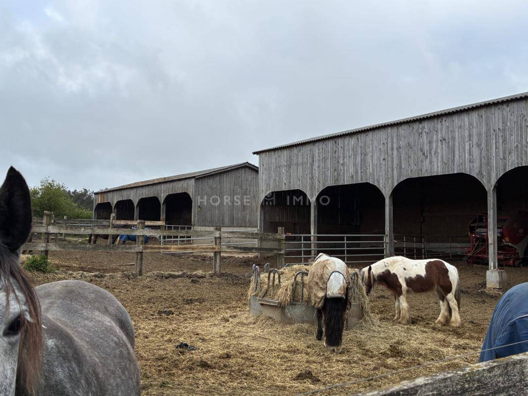 Centro ippico In vendita Morbihan