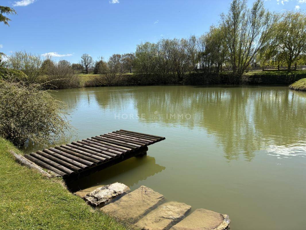 Propriet&agrave; equestre In vendita Sarthe