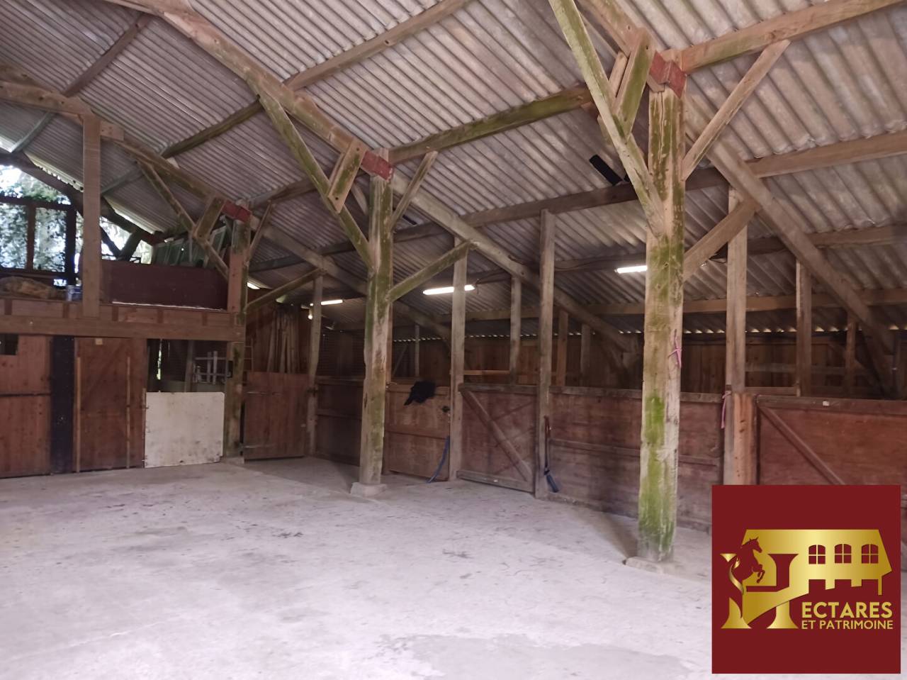 Alloggio equestre In vendita Morbihan