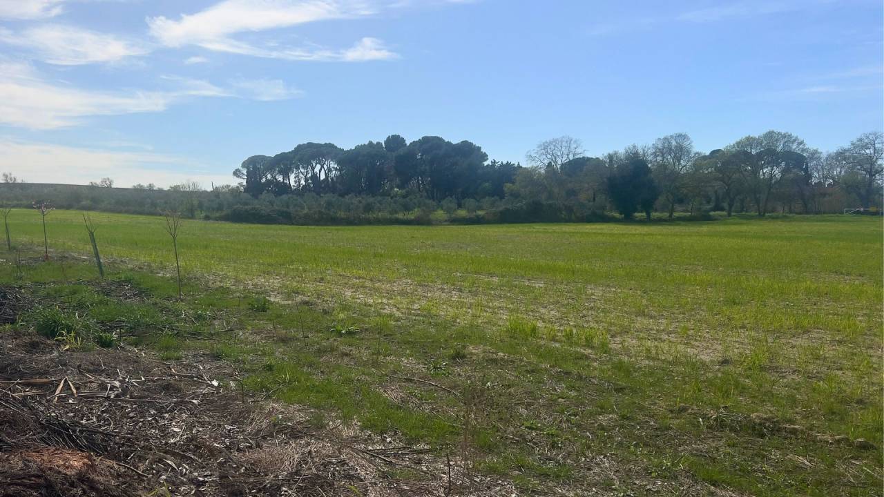 Campo In vendita H&eacute;rault