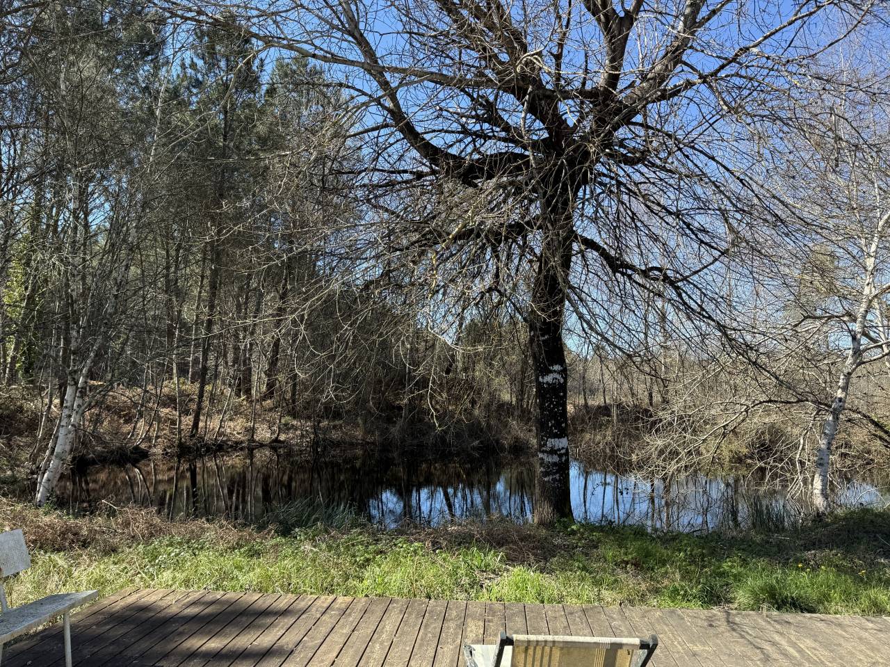 Scuderia per proprietari In vendita Gironde