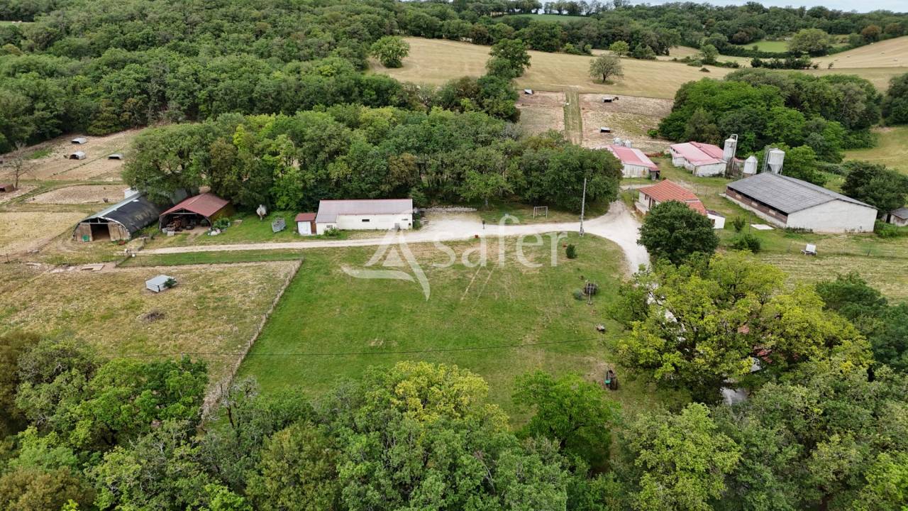 Azienda suina In vendita Lot