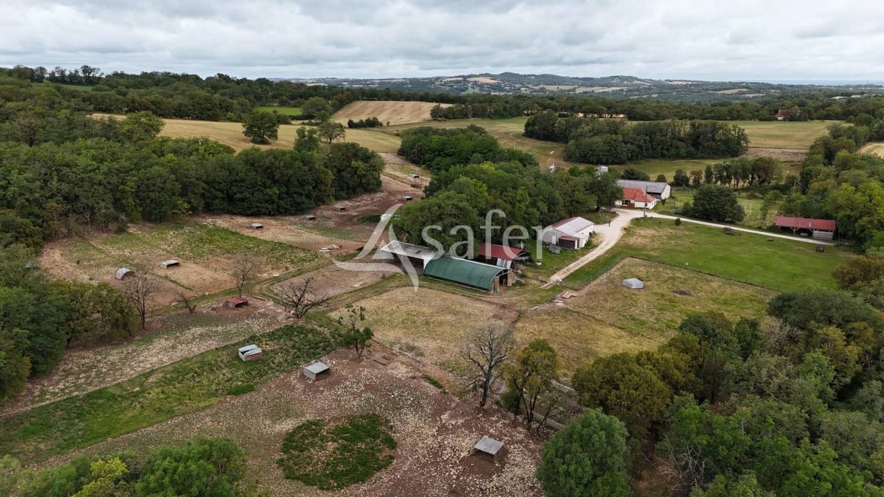 Azienda suina In vendita Lot