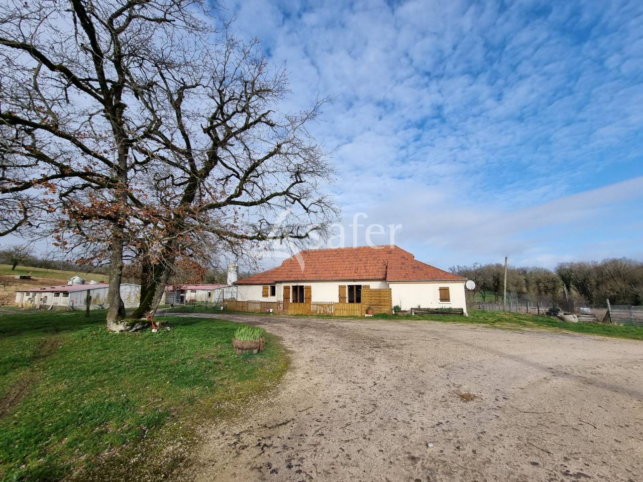 Azienda suina In vendita Lot