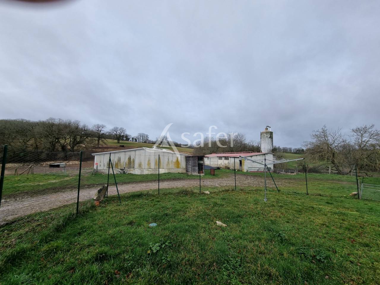 Azienda suina In vendita Lot