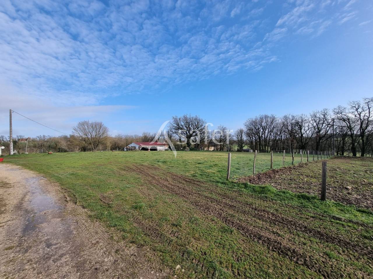 Azienda suina In vendita Lot