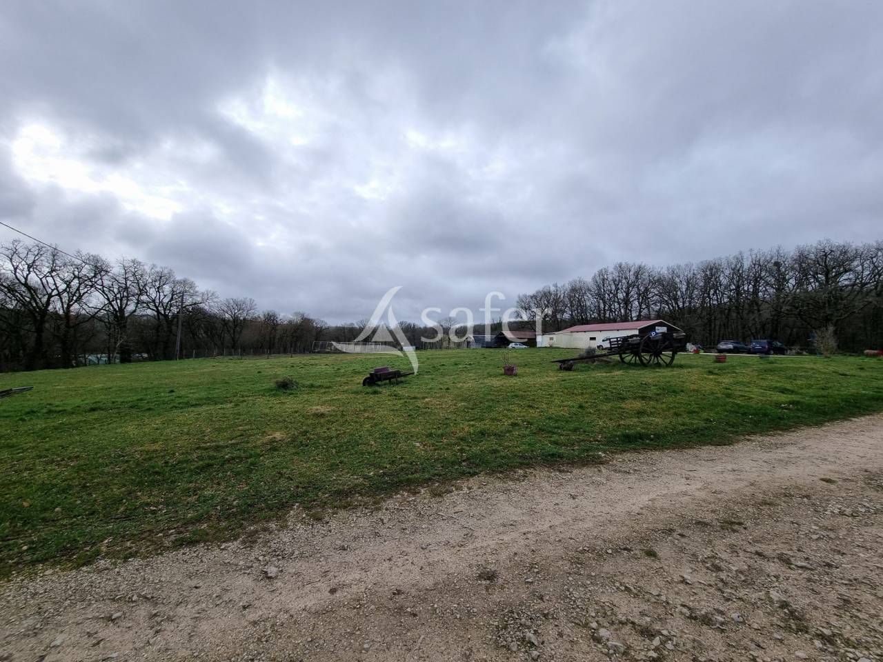 Azienda suina In vendita Lot