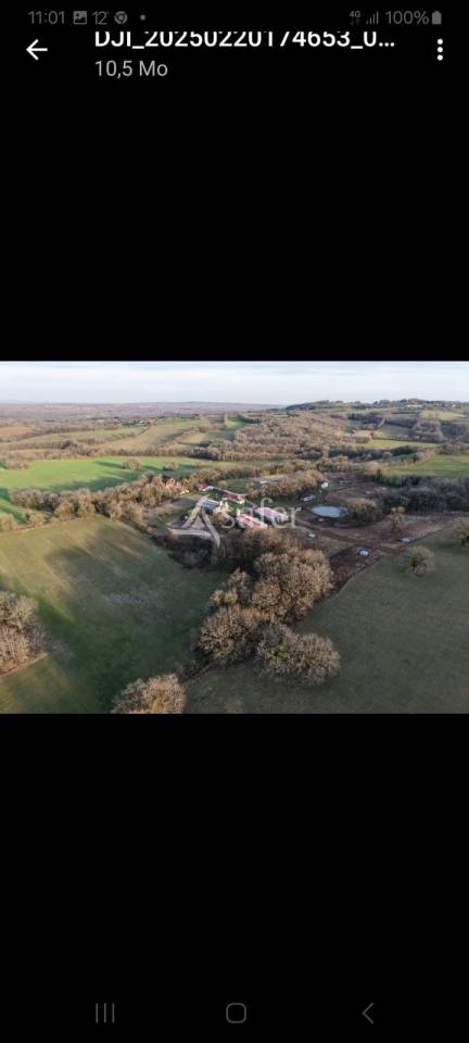 Azienda suina In vendita Lot