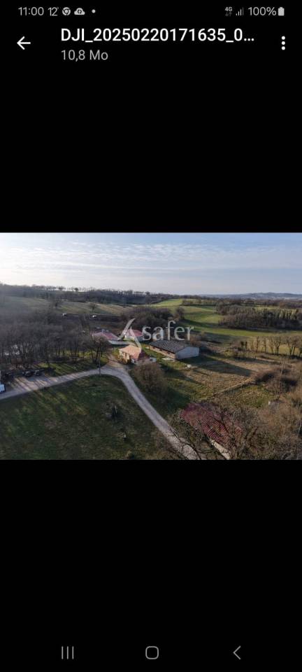 Azienda suina In vendita Lot