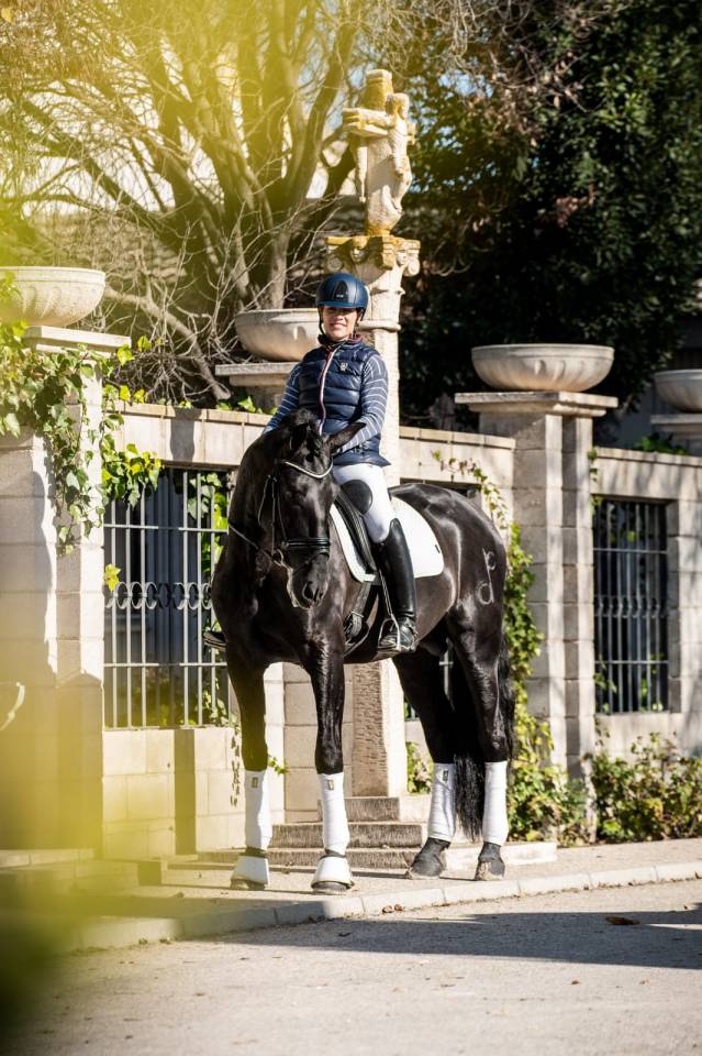 Puledra PRE Andaluso In vendita 2026 Nero ,  MONJE II