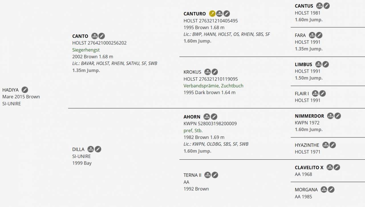 Cavalla italiana 2015