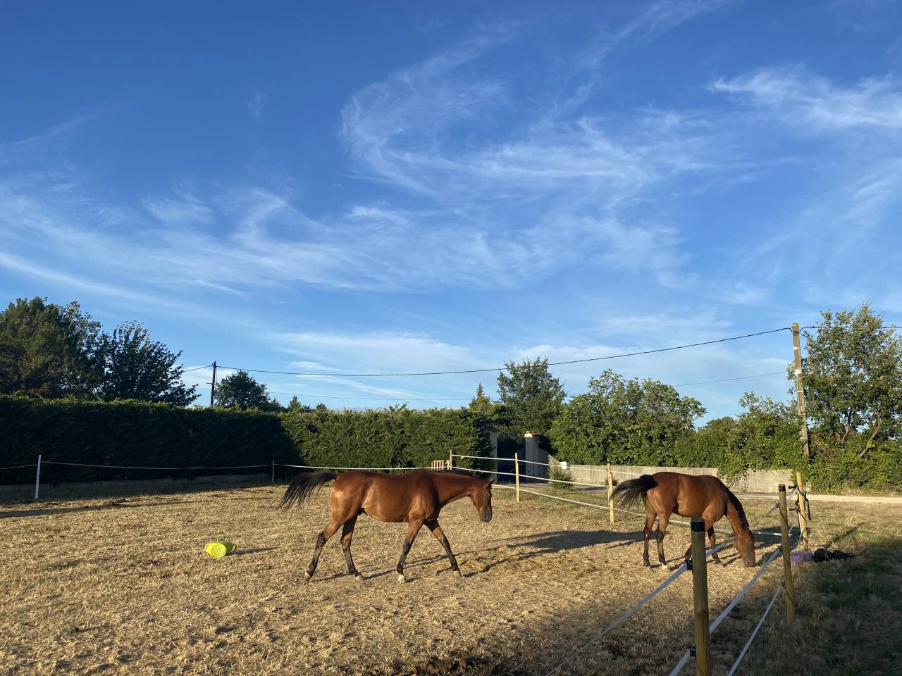 Propriet&agrave; equestre In vendita Gard