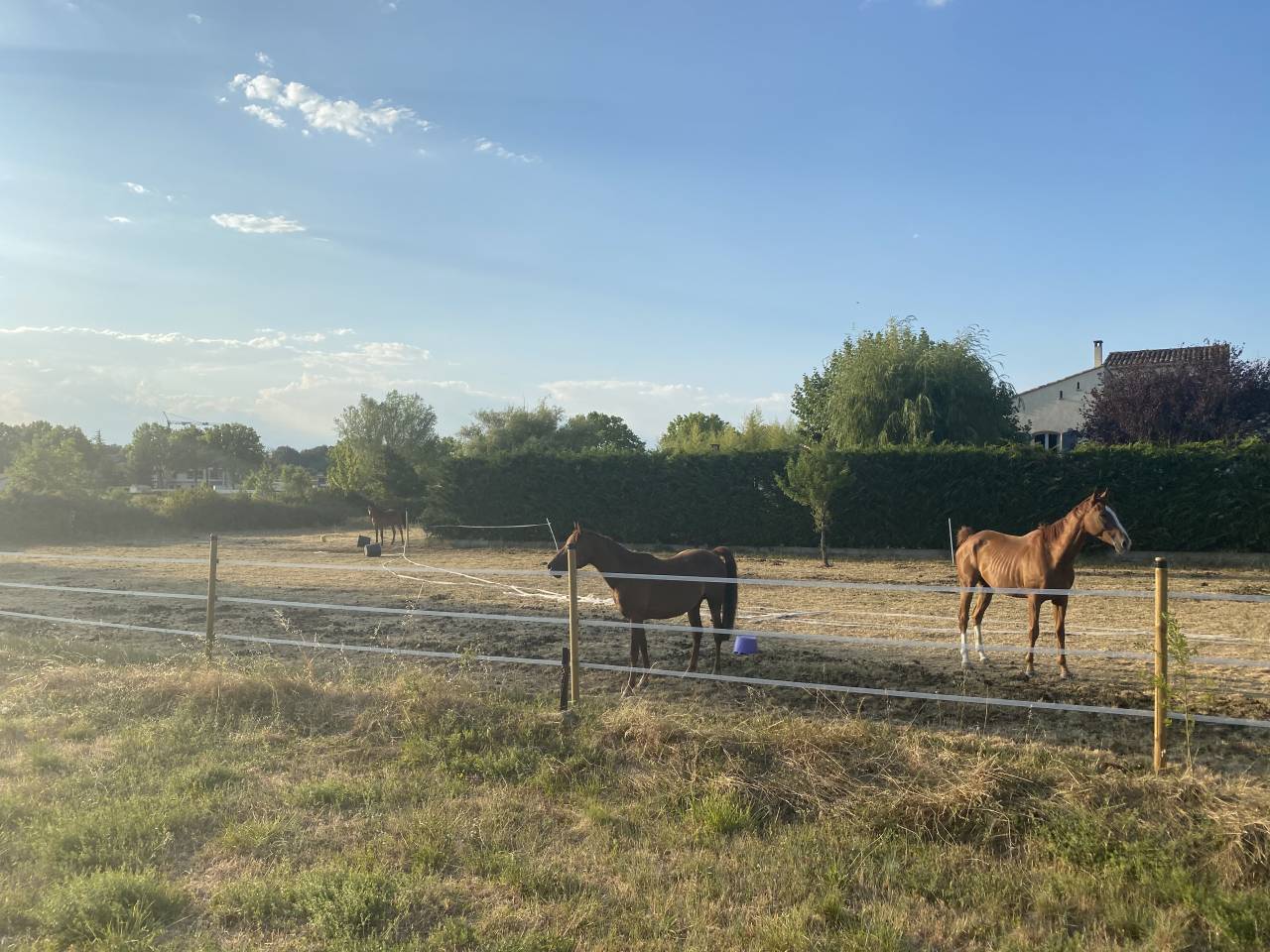 Propriet&agrave; equestre In vendita Gard