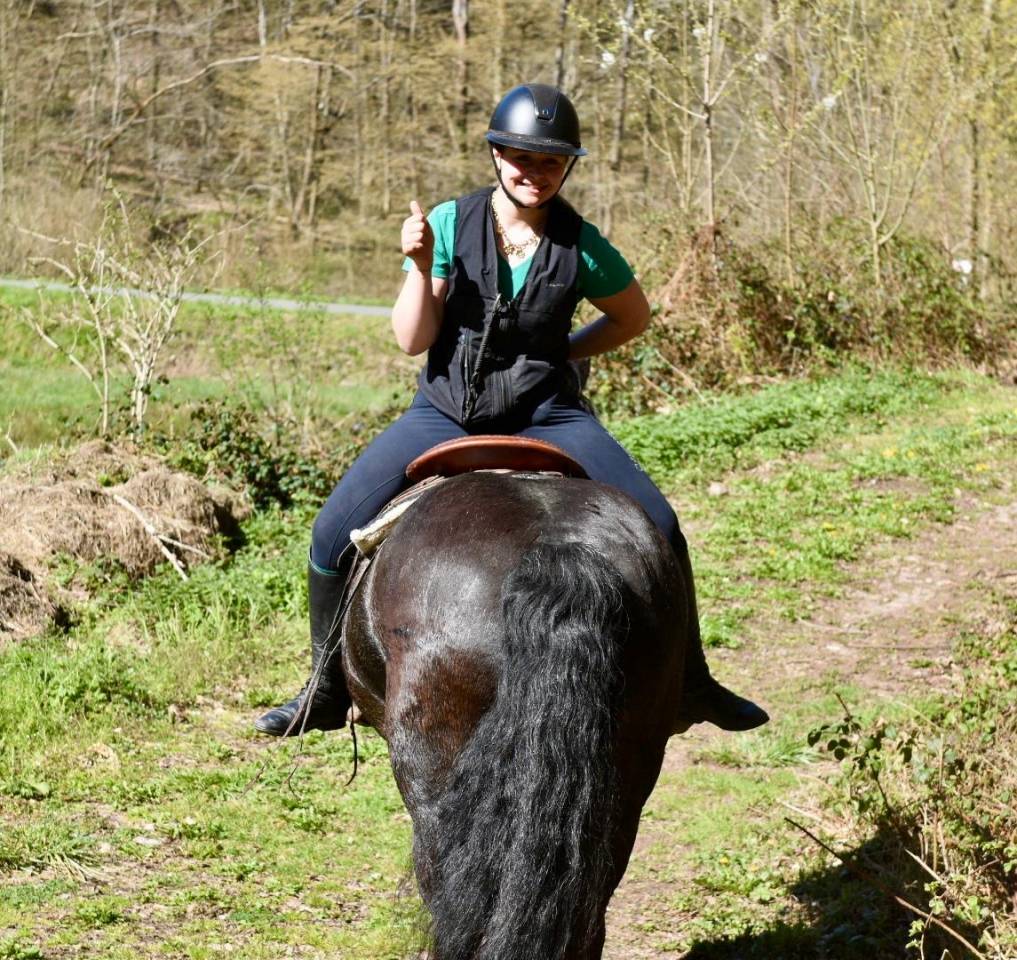 Cavalla Origine non conosciuta  In vendita 2015 Nero