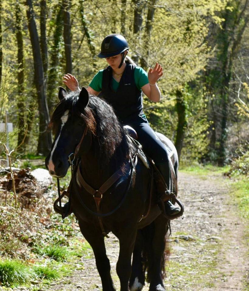 Cavalla Origine non conosciuta  In vendita 2015 Nero