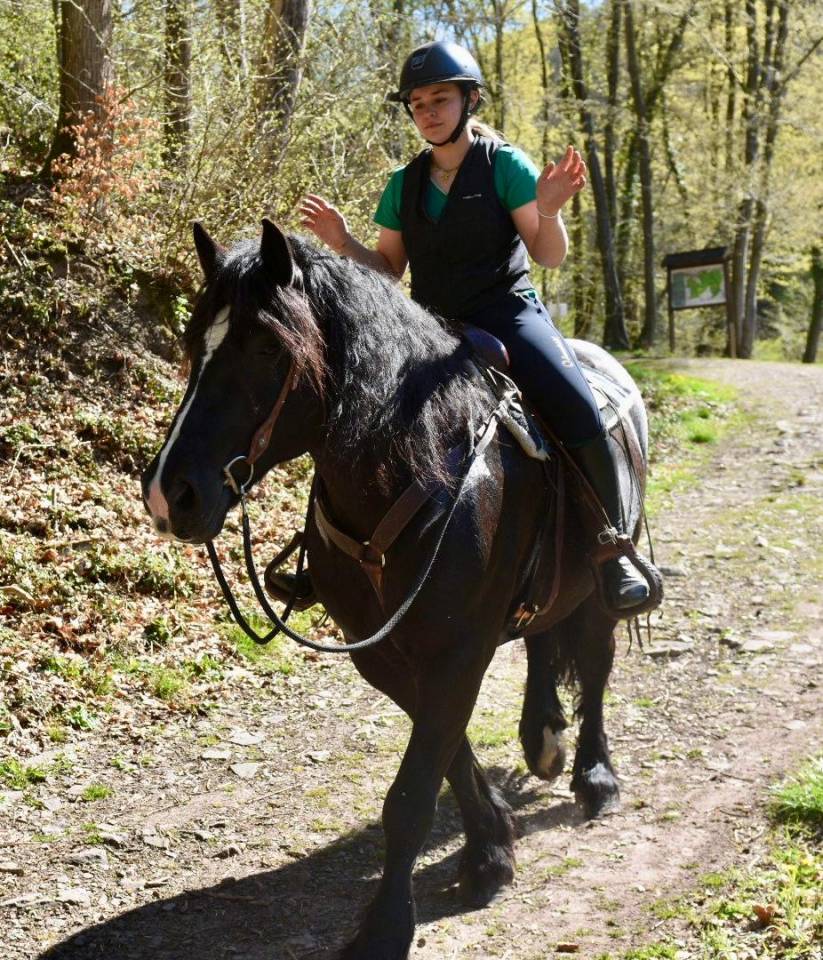 Cavalla Origine non conosciuta  In vendita 2015 Nero