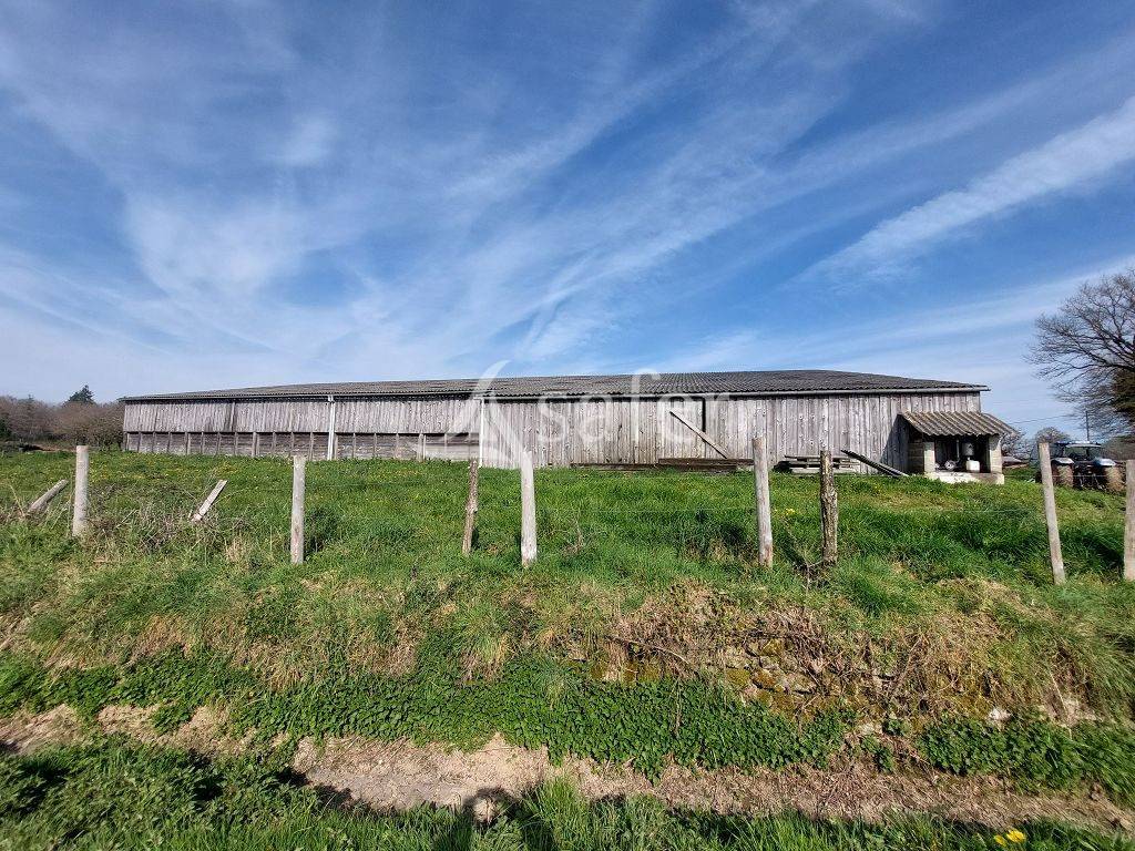 Azienda ovina In vendita Haute-Vienne