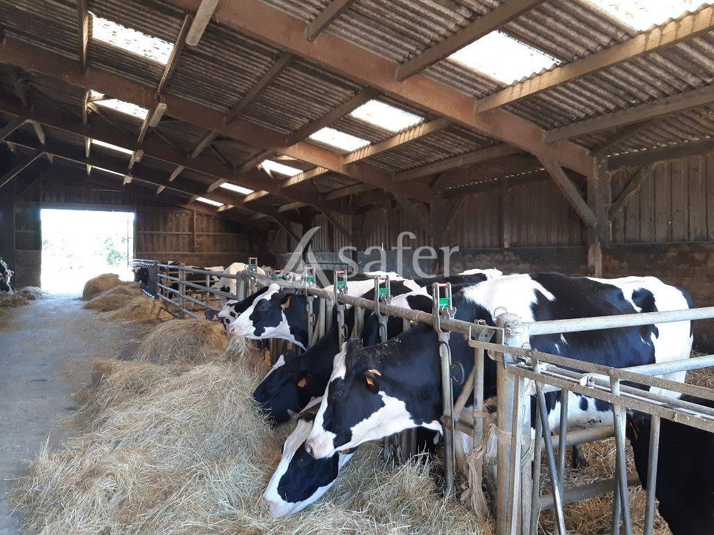 Azienda ovina In vendita Haute-Vienne