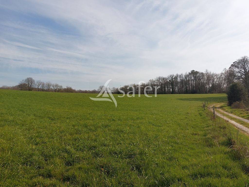 Azienda ovina In vendita Haute-Vienne