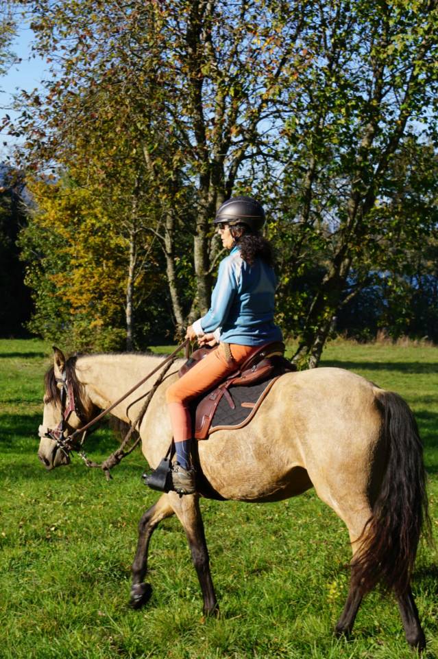 Cavalla Lusitano In vendita 2020 Isabella