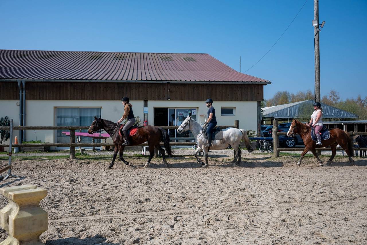 Centro ippico In vendita Seine-et-Marne