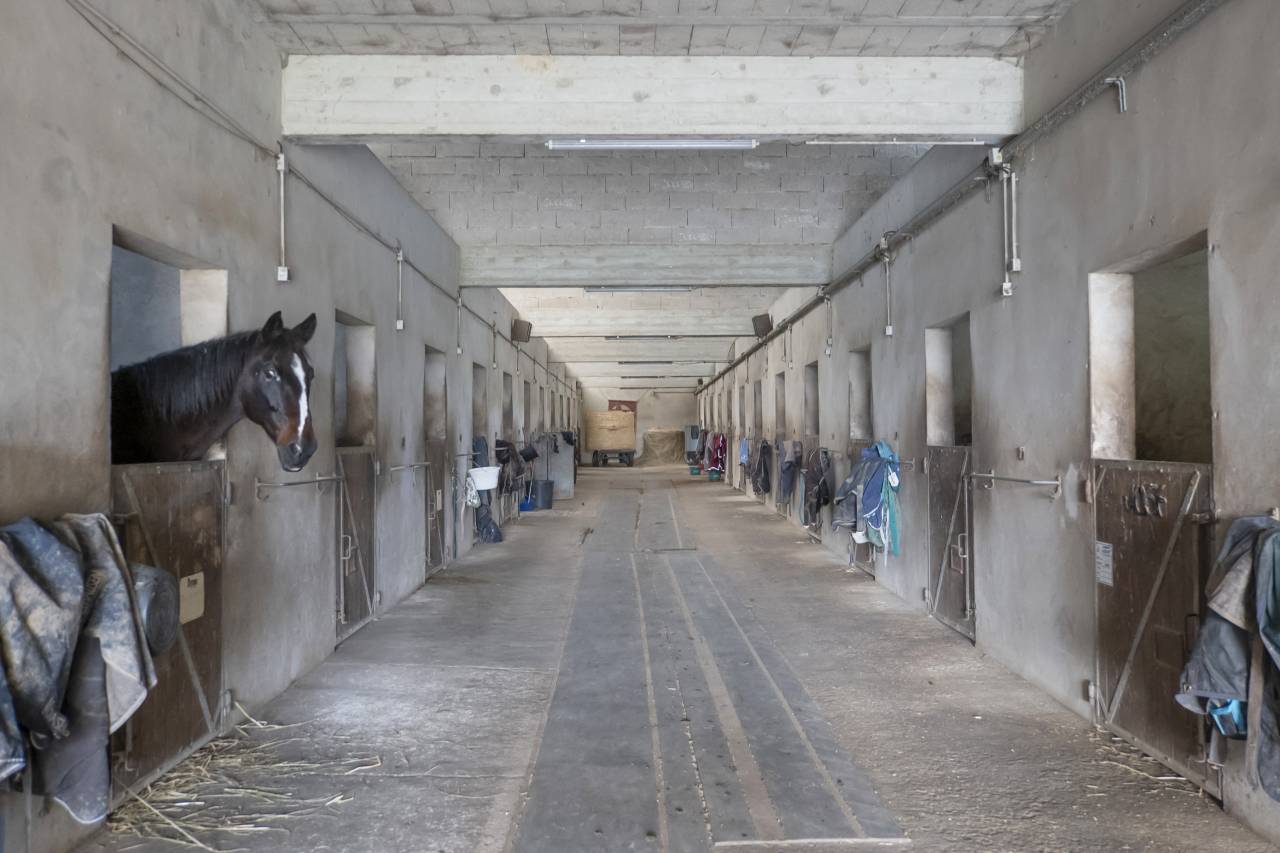 Propriet&agrave; equestre In vendita Seine-et-Marne