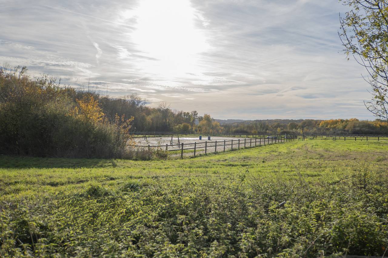 Propriet&agrave; equestre In vendita Seine-et-Marne