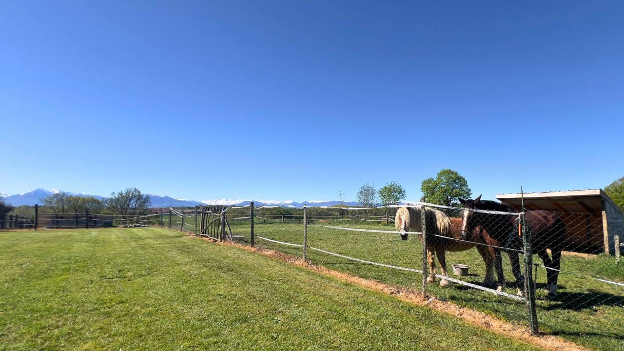 Propriet&agrave; equestre In vendita Haute-Garonne