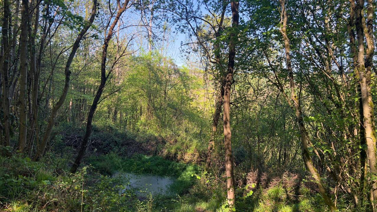 Propriet&agrave; equestre In vendita Haute-Garonne