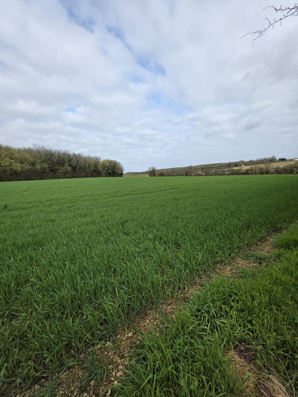 Centro ippico In vendita Charente-Maritime