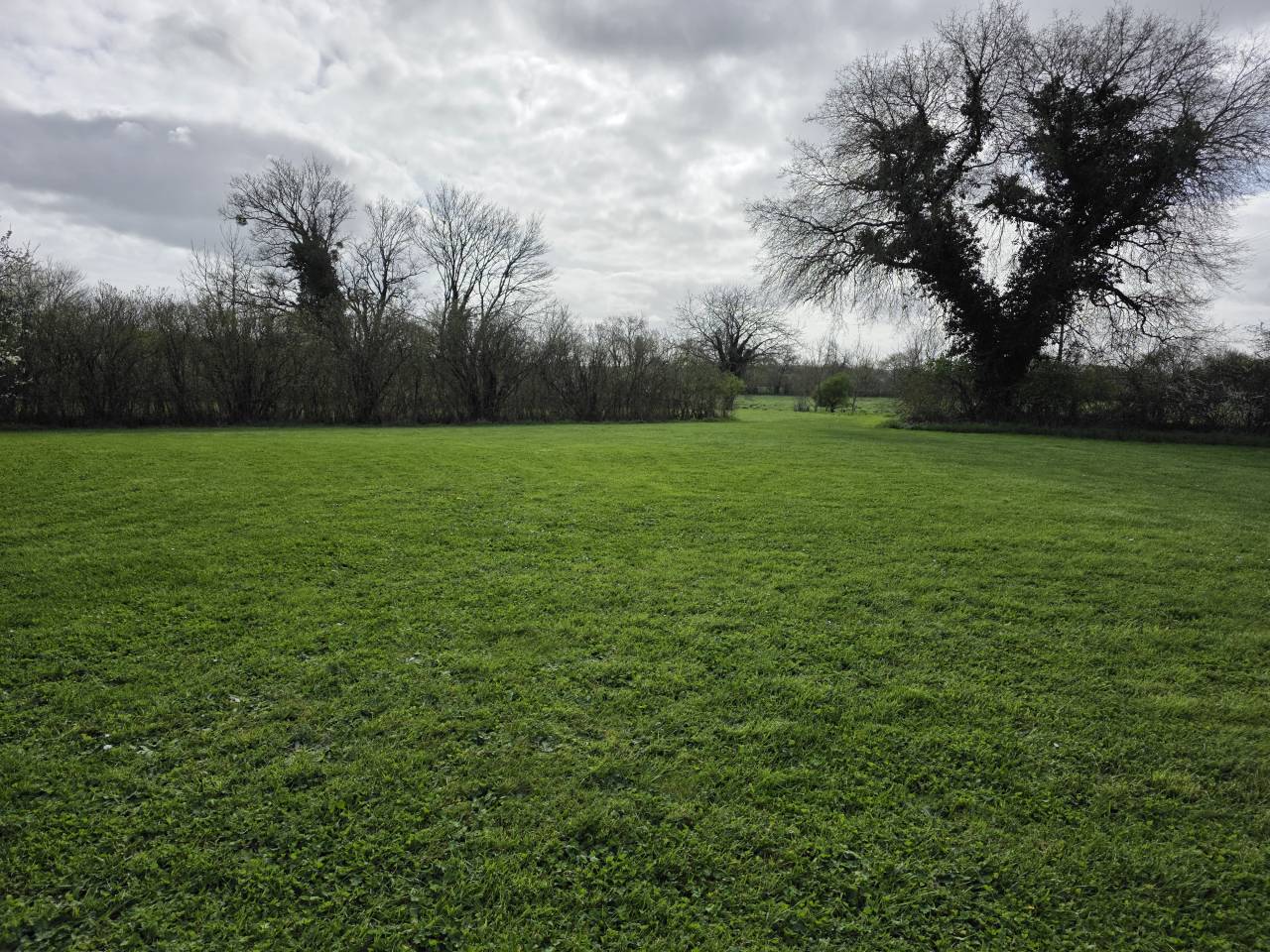 Centro ippico In vendita Charente-Maritime