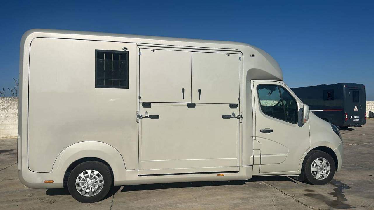 Opel Movano STX 2 HORSES Euro 6