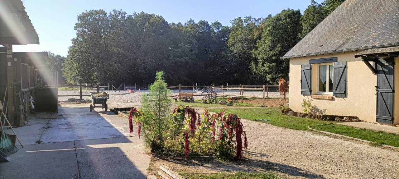 Alloggio equestre In vendita Eure
