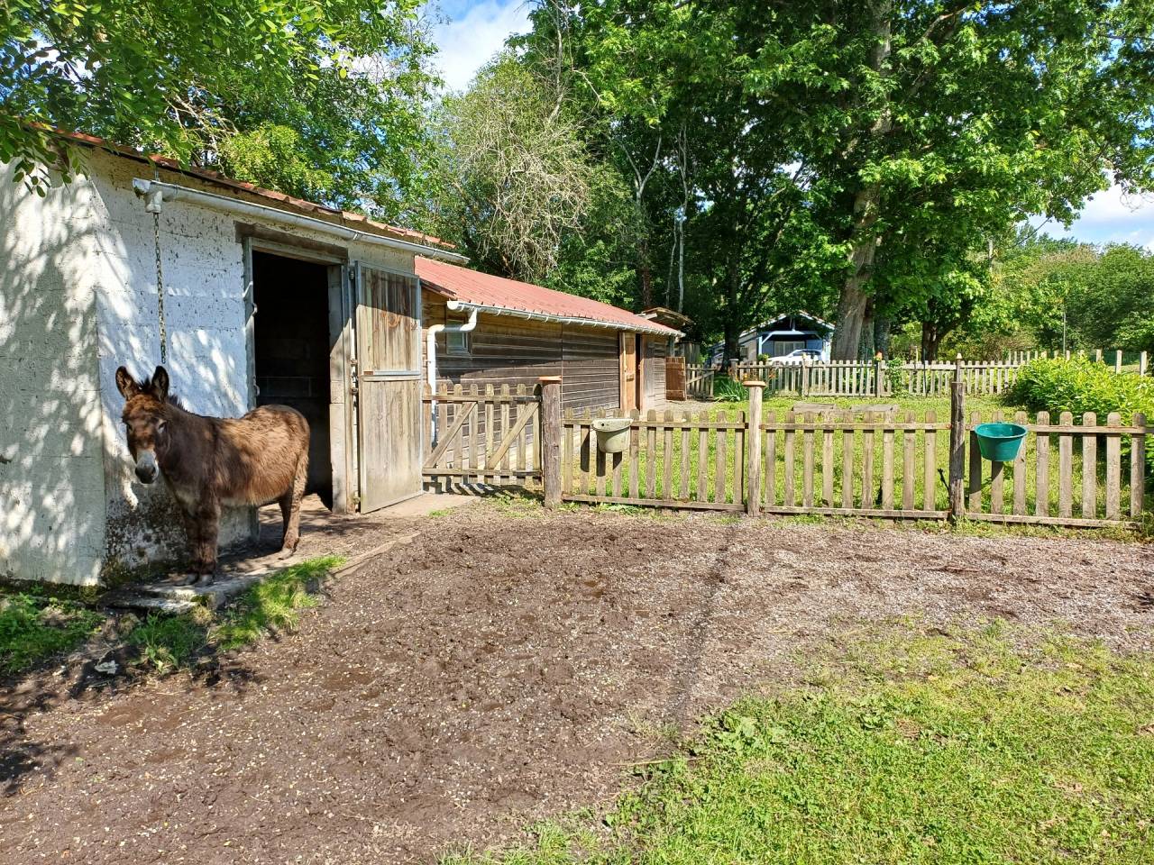 Propriet&agrave; equestre In vendita Landes