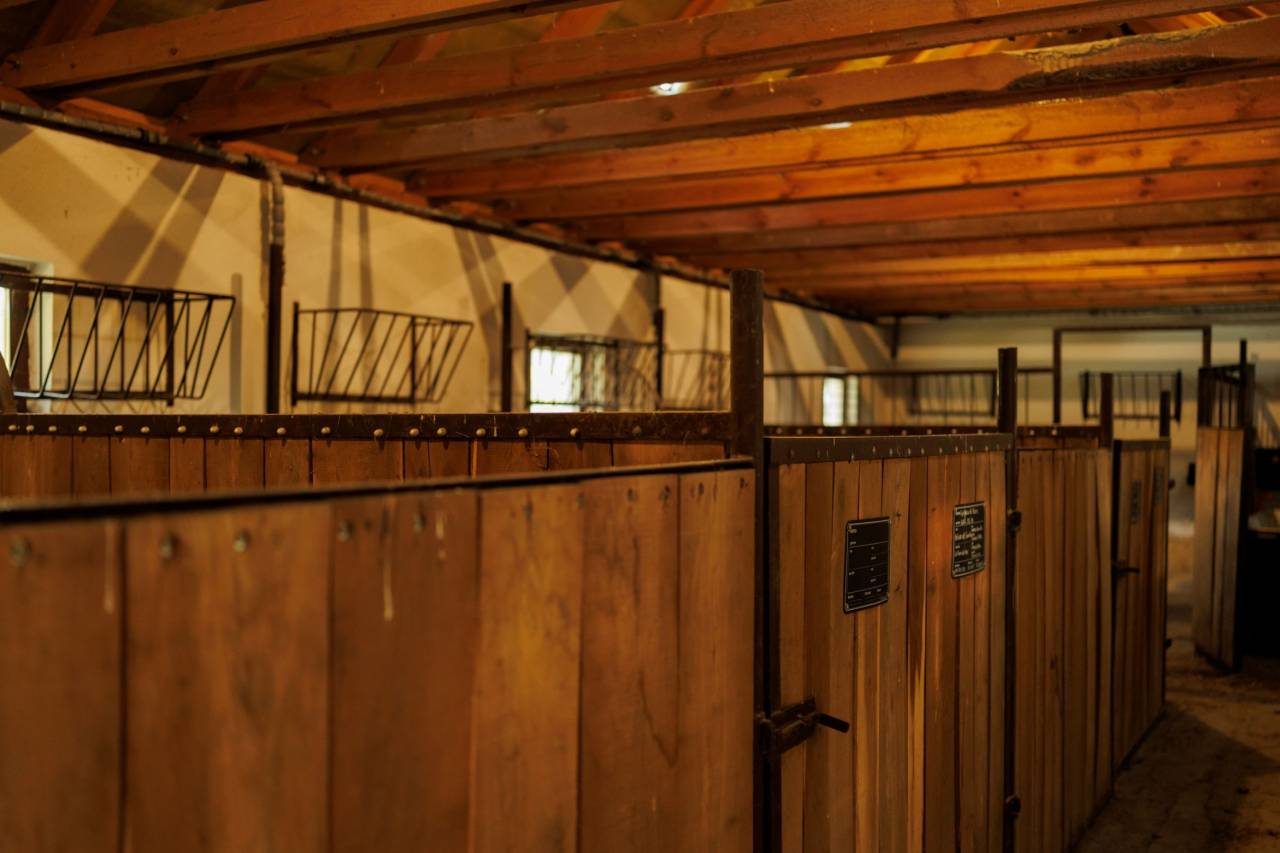 Propriet&agrave; equestre In vendita 