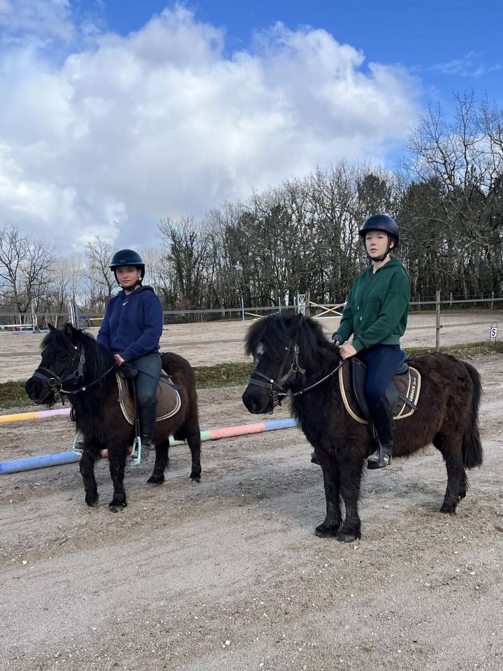 Puledra Origine non conosciuta  In vendita 2023 Baio