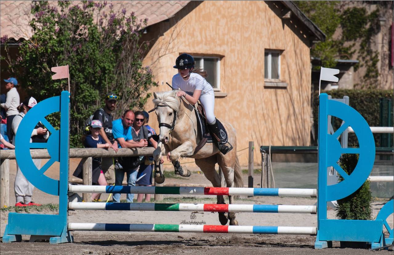 Castrone PFS Pony Francese da Sella In vendita 2017 Palomino ,  SNOOPY DES ETISSES (PFS)